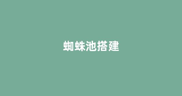 seo网站优化