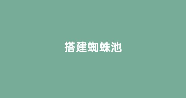 百度seo优化排名